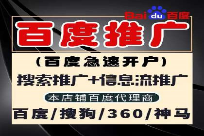 SEM竞价广告的智能优化：成功案例解读